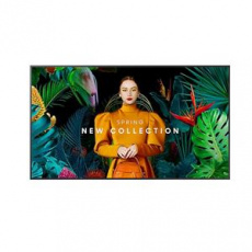 Samsung   65"  Crystal UHD Signage QM65C