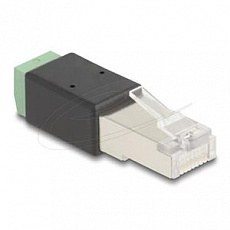 Delock Adaptér ze zástrčky rozhraní RJ45 na svorkovnici, 2 pinový