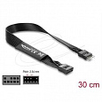 Delock Plochý kabel HD Audio, prodlužovací kabel základní desky, z 9 pinového konektoru na zásuvkový pinový konektor, 30