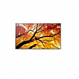 Sharp 86"  MultiSync M862- 24/7, 550 cd, IPS LED, 3840x2160, 16:9, 8ms, 8000:1,  DP, 2x HDMI, USB