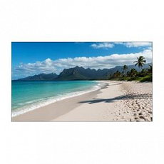 Sharp 55" MultiSync UN553V - 24/7, 500 cd, IPS LED, 1920 x 1080, 16:9, 8ms, 3500:1,  VGA, 2x HDMI,2xDP, USB