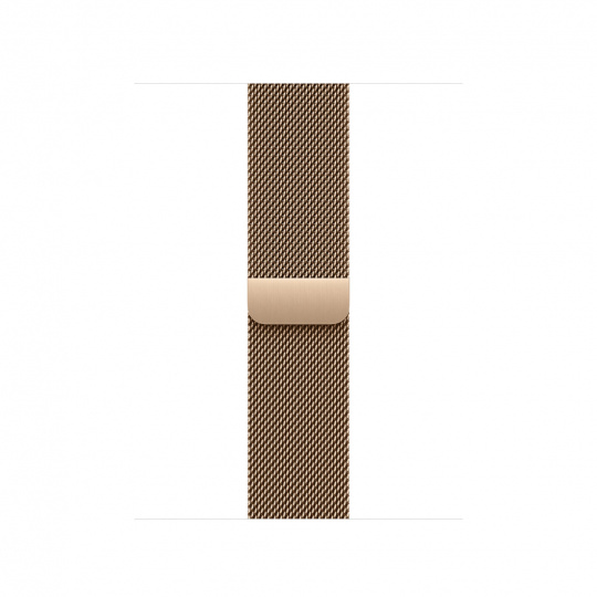 Watch Acc/42/Gold Milanese Loop