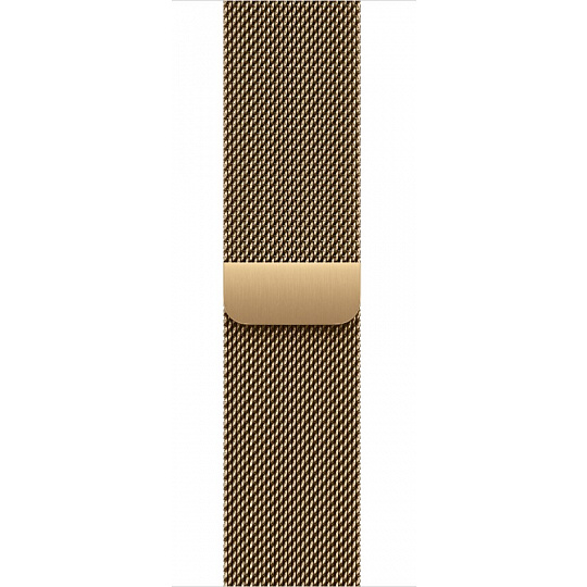 Watch Acc/40/Radiant Gold Milanese Loop