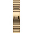 Watch Acc/46/Radiant Gold Link Bracelet
