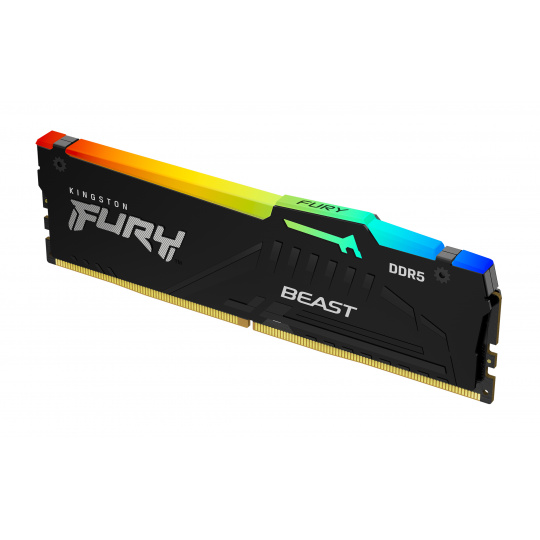 Kingston FURY Beast EXPO/DDR5/64GB/5600MHz/CL40/1x64GB/RGB/Black