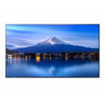 43" LED SHARP P436, 3840x2160,24/7,700cd