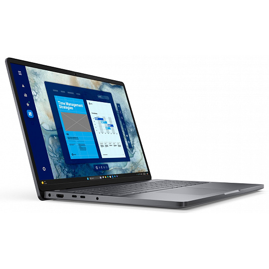 Dell Pro 16/PC16255/R5PRO-230/16"/WUXGA/16GB/1TB/AMD int/W11P/Gray/3R NBD