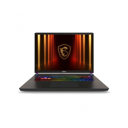 MSI Vector/17 HX AI A2XWHG-035CZ/U9-275HX/17"/2560x1600/32GB/2TB SSD/RTX 5070Ti/W11H/Gray/2R
