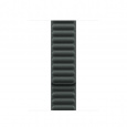 Watch Acc/41/Evergreen Magnetic Link - M/L