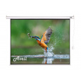 Elektrické projekční plátno AVELI, 175x131 (4:3)