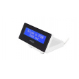 Epson DM-D30 (101): Customer Display for TM-m30 White