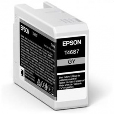 EPSON cartridge T46S7 gray (25ml)