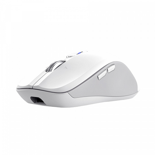 TRSUT FERRO MULTI-WIRELESS MOUSE WHT TRSUT FERRO MULTI-WIRELESS MOUSE WHT
