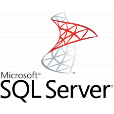SW MS SQL Server Standard 2022 RUNTIME (server, licence k Money S4/S5)