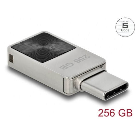 Delock Mini Flash disk USB 5 Gbps, USB-C™, 256 GB - kovový kryt