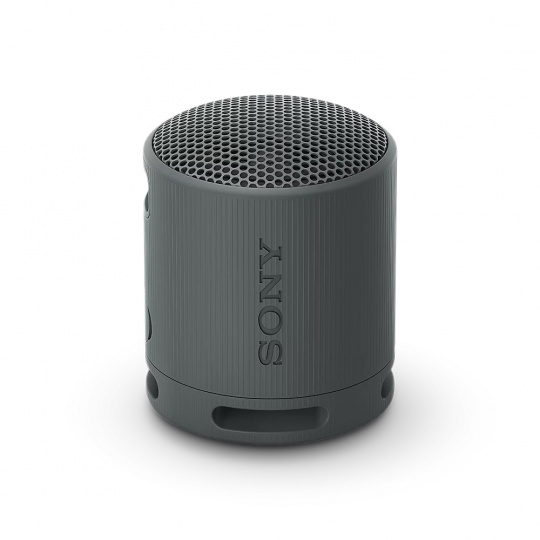 Sony SRS-XB100/Mono/Černá