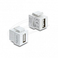 Delock Mini spojka modulů Keystone ze zásuvky USB 2.0 Typu-A na zásuvku USB 2.0 Typu-A, bílá