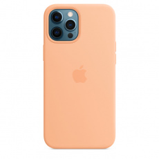 iPhone 12ProMax Silicone Case wth MagSafe Cantal. iPhone 12ProMax Silicone Case wth MagSafe Cantal.