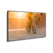 LCD monitory 61 a více palců