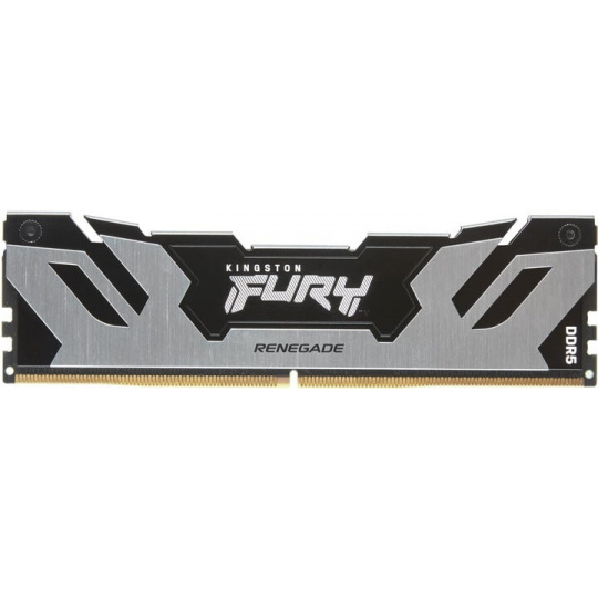 Kingston FURY Renegade/DDR5/32GB/6400MHz/CL32/1x32GB/Black/Silv