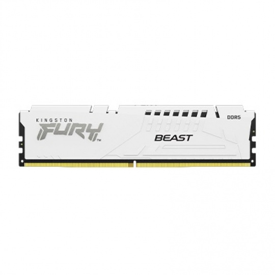 Kingston FURY Beast White/DDR5/32GB/5600MHz/CL40/1x32GB/White