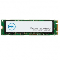 Dell/1TB/SSD/M.2 NVMe/1R