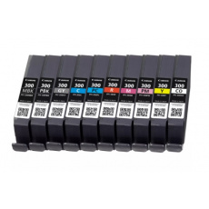 Canon PFI-300 10 ink Multi Pack