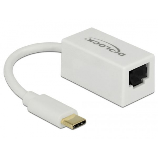 Delock Adaptér Super Speed USB (USB 3.1 Gen 1) s USB Type-C™ samec > Gigabit LAN 10/100/1000 Mbps kompaktní bílá
