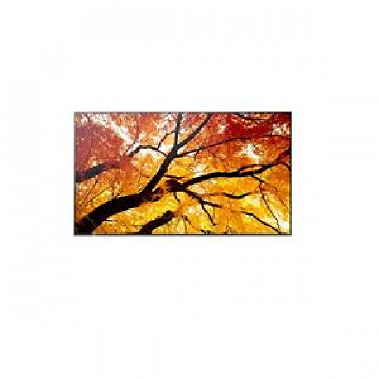 Sharp 86"  MultiSync M862- 24/7, 550 cd, IPS LED, 3840x2160, 16:9, 8ms, 8000:1,  DP, 2x HDMI, USB