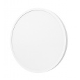 Xiaomi Mi Smart LED Ceiling Light D30