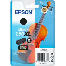 Epson Singlepack Black 250XL ink