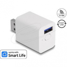 Delock WLAN EASY-USB Switch Smart Life Delock WLAN EASY-USB Switch Smart Life