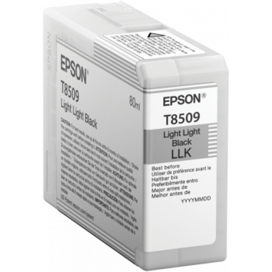 Epson Singlepack Photo Light Light Black T850900 UltraChrome HD ink 80ml