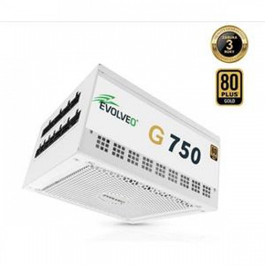 EVOLVEO G750 zdroj 750W, 80+ GOLD, ATX 3.1, PCIe 5.1, aPFC, 140mm ventilátor, modulární, záruka 3 roky, bílý EVOLVEO G750 zdroj 750W, 80+ GOLD, ATX 3.1, PCIe 5.1, aPFC, 140mm ventilátor, modulární, záruka 3 roky, bílý