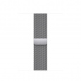 Watch Acc/45/Silver Milanese Loop