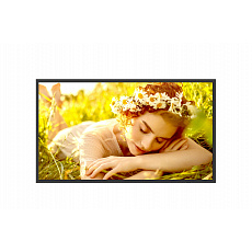 32" LG LED 32UL5 - FHD,500cd,VA,24/7 32" LG LED 32UL5 - FHD,500cd,VA,24/7