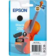 Epson Singlepack Black 250 ink Epson Singlepack Black 250 ink