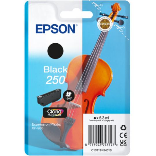 Epson Singlepack Black 250 ink