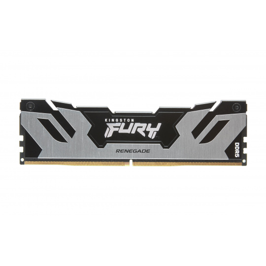 Kingston FURY Renegade/DDR5/16GB/7200MHz/CL38/1x16GB/Black/Silv