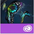 XD for TEAMS MP ENG COM Subscription For existing XD customer add-ons only. No new customers. 1 User L-12 10-49 (3YC)