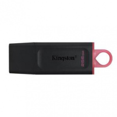 KINGSTON 256GB USB3.2 Gen1 DataTraveler Exodia (Black + Pink)