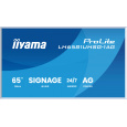 65" iiyama LH6581UHSG-1AG:VA, 4K UHD,frame