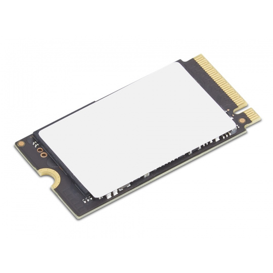 Lenovo ThinkPad/512GB/SSD/M.2 NVMe/Černá/1R