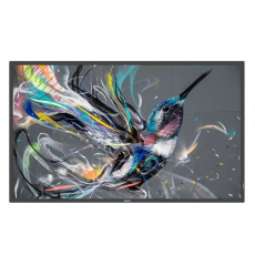 65" D-LED Philips 65BDL3550Q-UHD,IPS,400cd,AN,18/7 65" D-LED Philips 65BDL3550Q-UHD,IPS,400cd,AN,18/7
